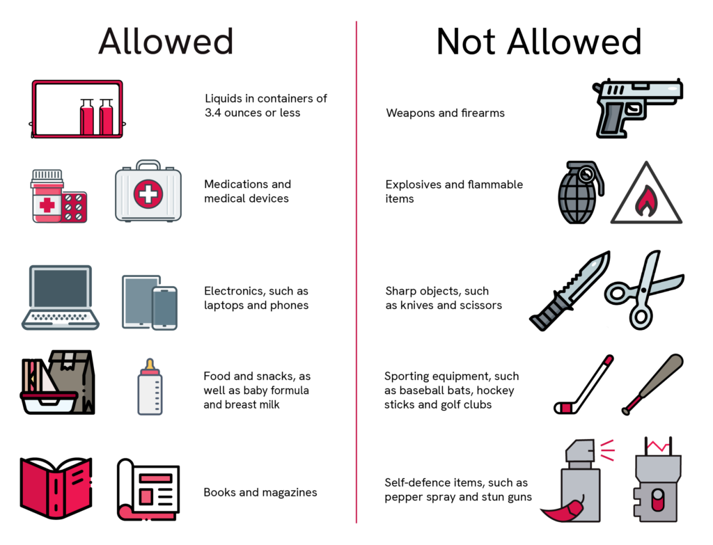 What Can You Bring on a Plane?